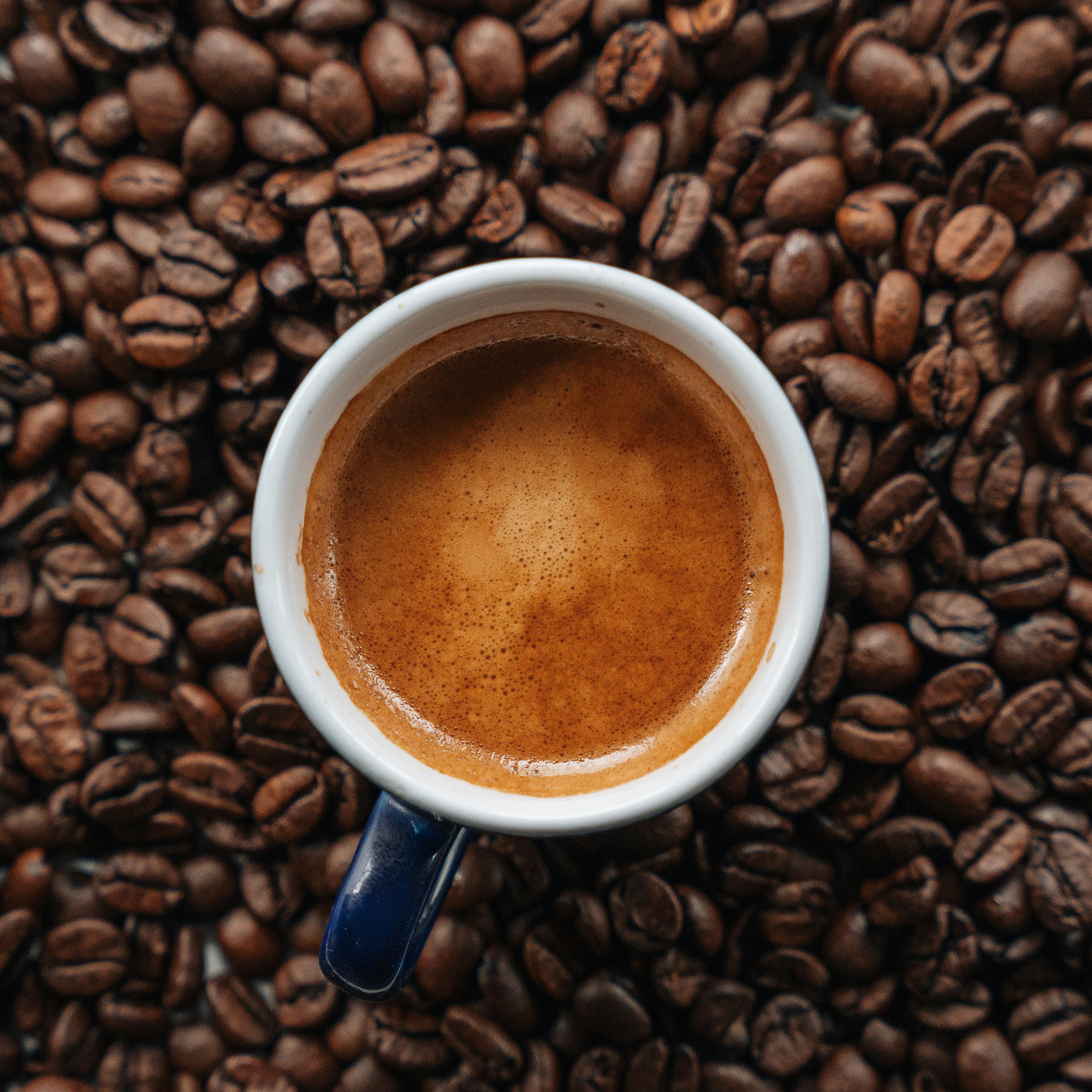 Roaster's Choice